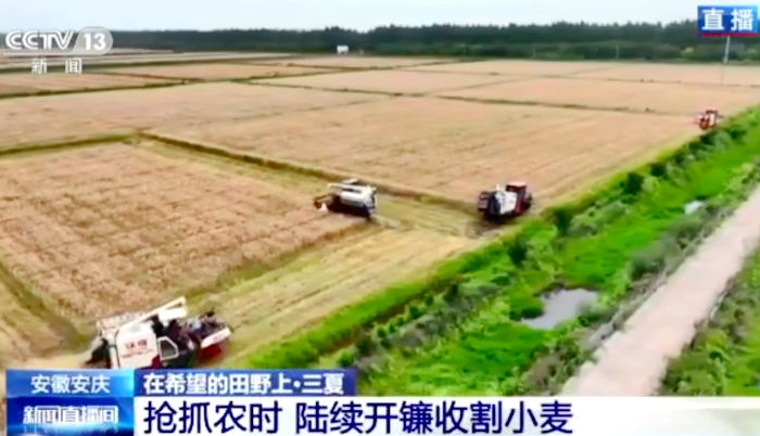【CCTV13新闻频道】望江：抢抓农时 陆续开镰收割小麦