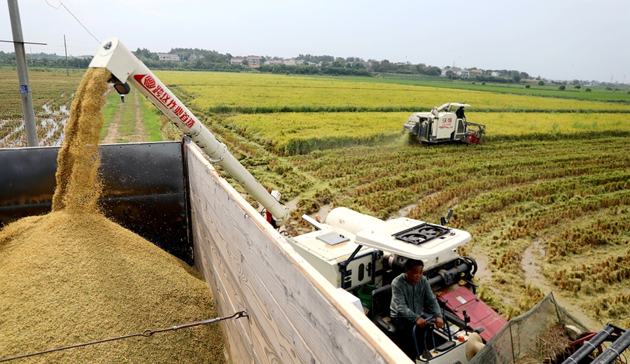 望江：从一稻一渔 看如何打造现代农业