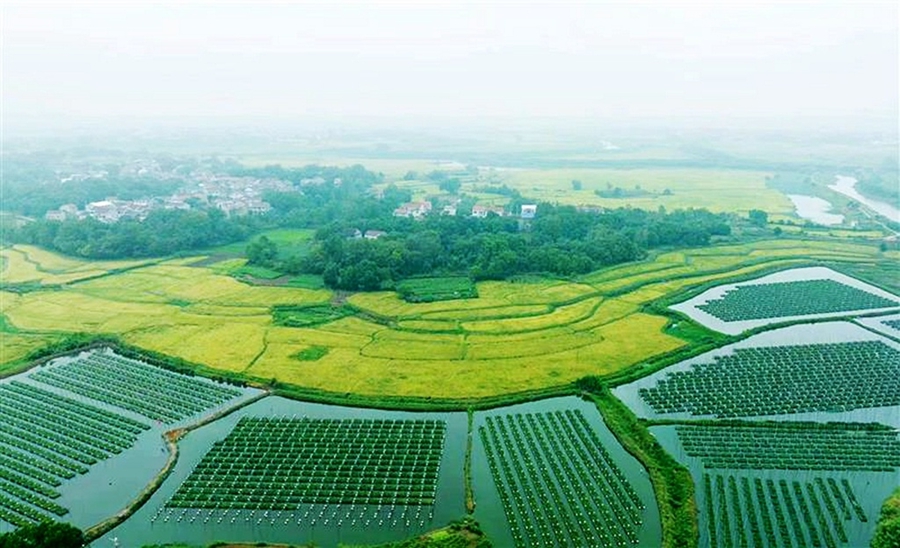 望江：生态养殖富乡村