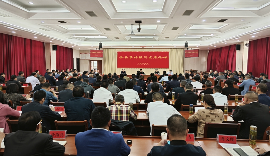望江县举行集体经济发展论坛 汪久清出席并讲话
