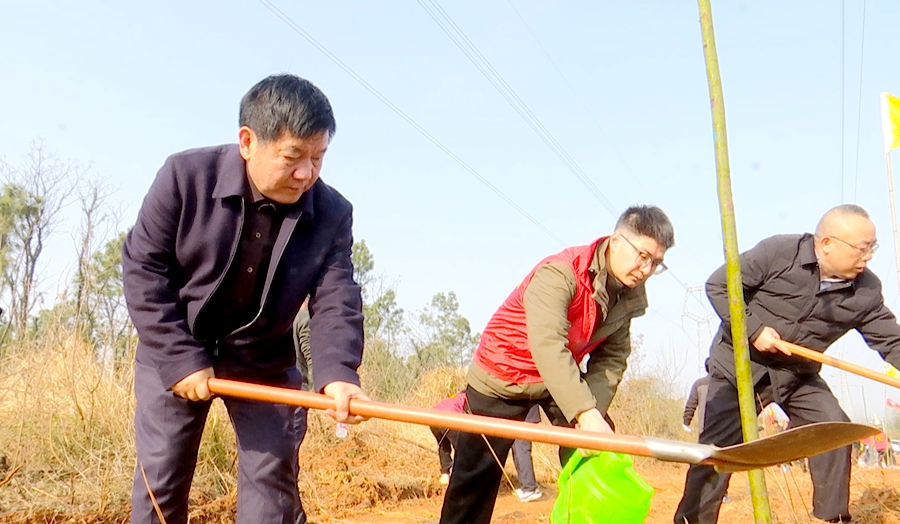 望江县开展2024年全民义务植树活动
