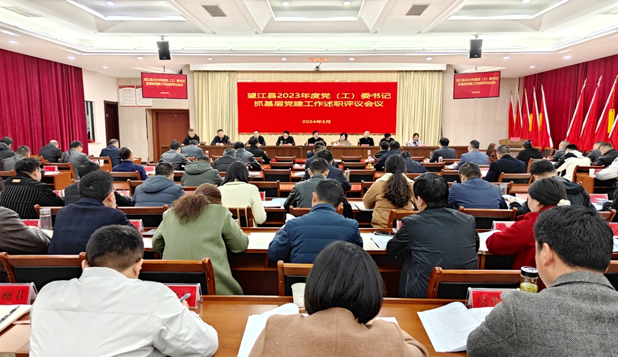 望江县2023年度党（工）委书记抓基层党建工作述职评议会议召开