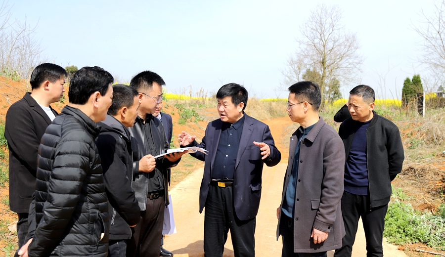 汪久清到长岭镇调研乡村产业发展、和美乡村建设等工作
