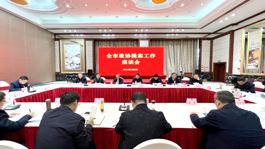 全市政协提案工作座谈会在望江县召开