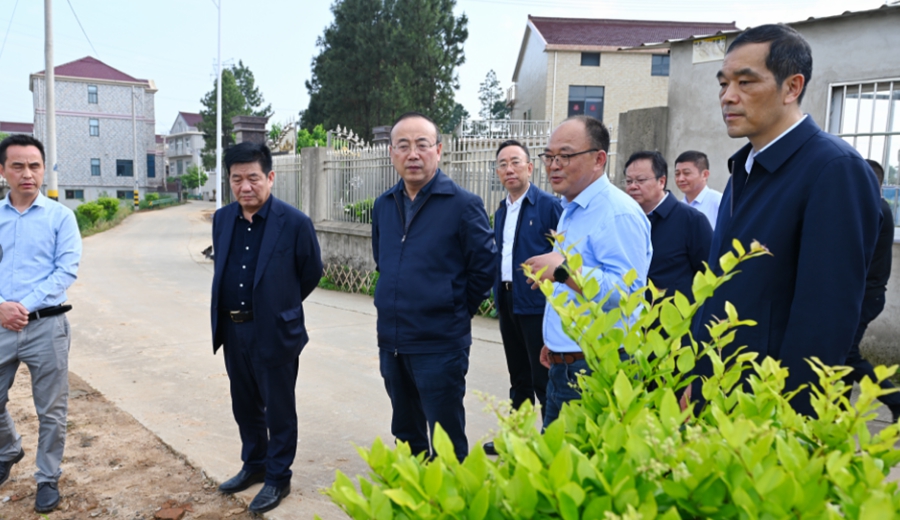 张祥安在望江县调研和美乡村精品示范村建设时强调